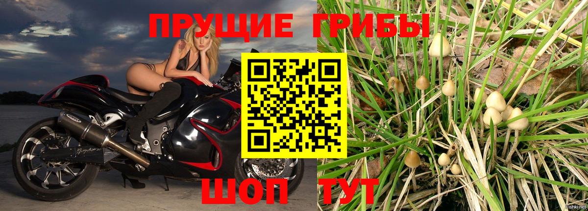 Галлюциногенные грибы Cubensis  Галлюциногенные грибы мицелий  где купить наркоту  Вход с VPN  Клинцы 